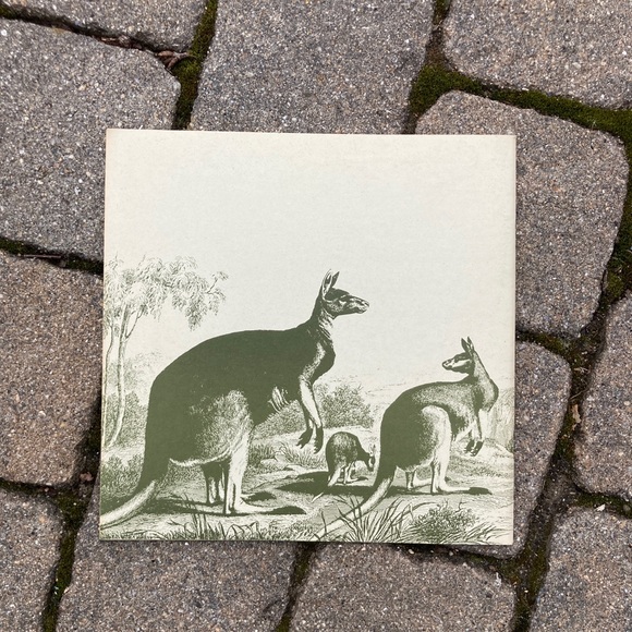 1971 Male Female Diffences in Animals Nature Education Development Center Book - Picture 14 of 14